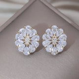 Luxury Round Zircon Earrings 14K Gold Party Women Jewelry