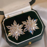 Luxury Round Zircon Earrings 14K Gold Party Women Jewelry