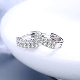 Double Row Zircon Round Stud Earrings Fashion Jewelry Silver Needle - Genuine - Gemstone