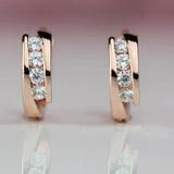 Princess 585 Rose Gold Earrings Natural Zircon Hanging Dangle Drop Earrings Jewelry